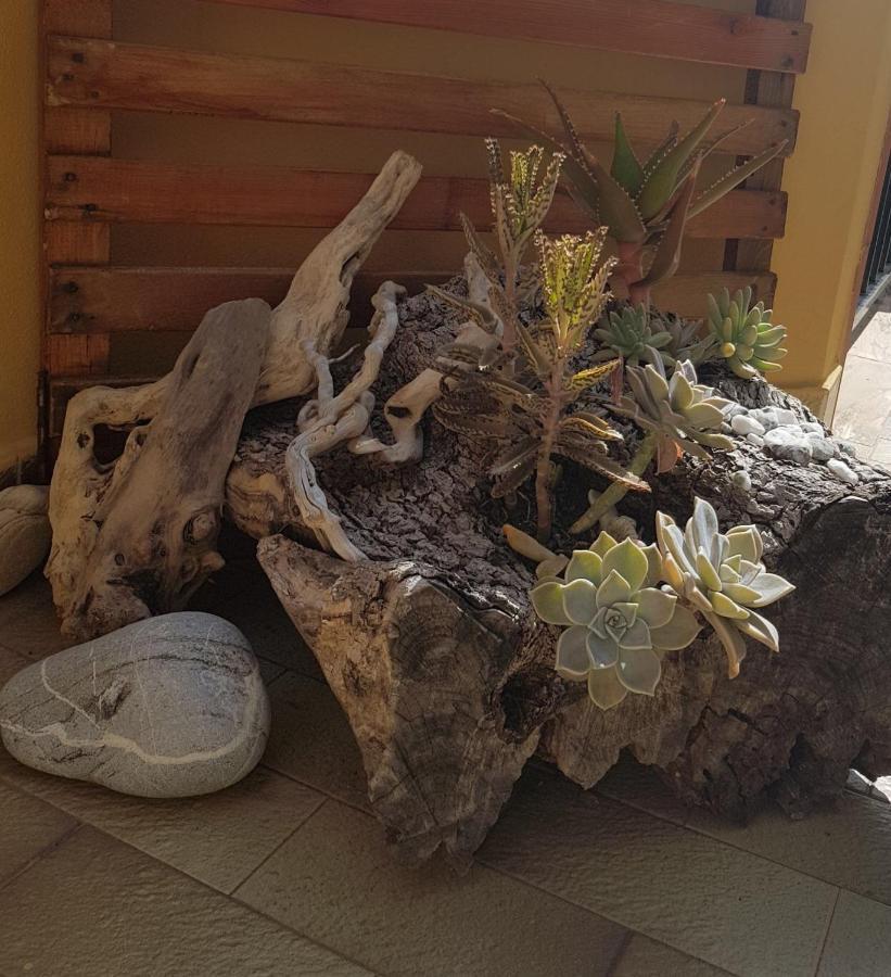 B&B Mirasol 스칼레아 외부 사진