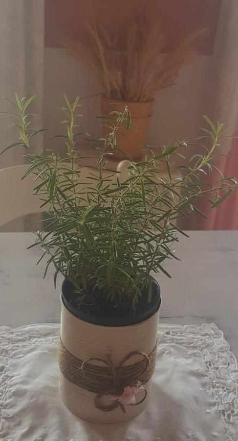 B&B Mirasol 스칼레아 외부 사진