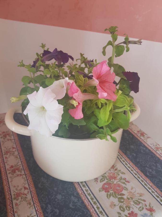 B&B Mirasol 스칼레아 외부 사진